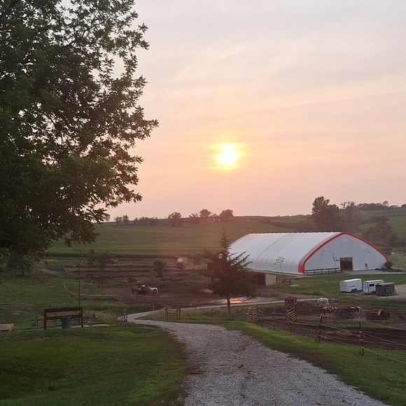 Meet your Posher, Linda - Picture 3 of 3